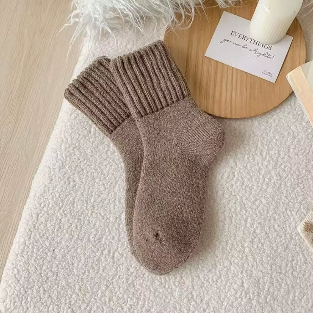 Autumn Warm Winter Wool Socks Knitted Towel Loops Cashmere Socks Soft Fleece Thickened Carpet Home Socks Women