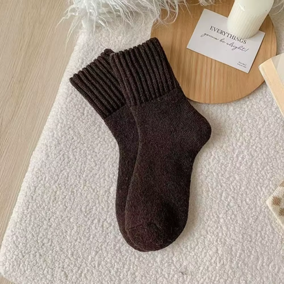 Autumn Warm Winter Wool Socks Knitted Towel Loops Cashmere Socks Soft Fleece Thickened Carpet Home Socks Women